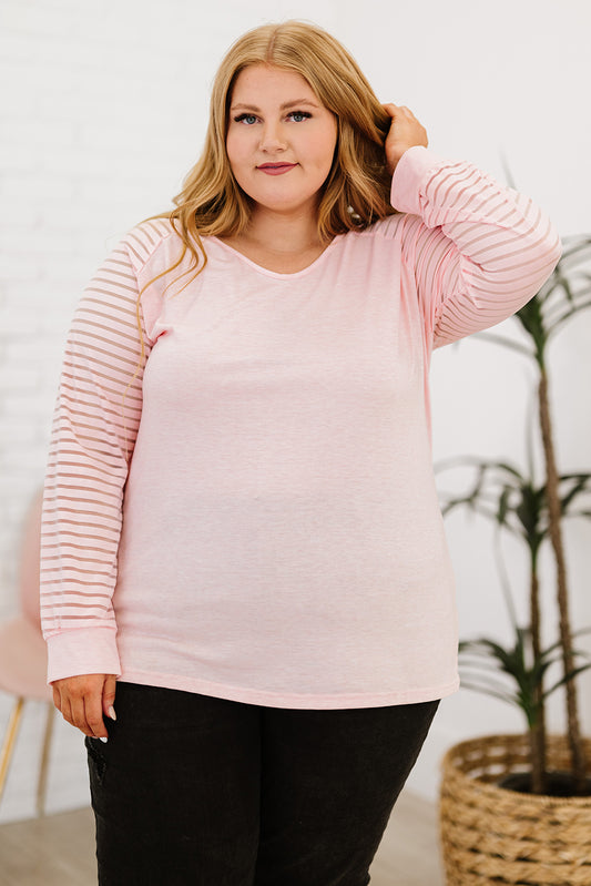 Sheer Striped Plus Size Sleeve V-Neck Top - Pink / 1X Apparel & Accessories Wynter 4 All Seasons