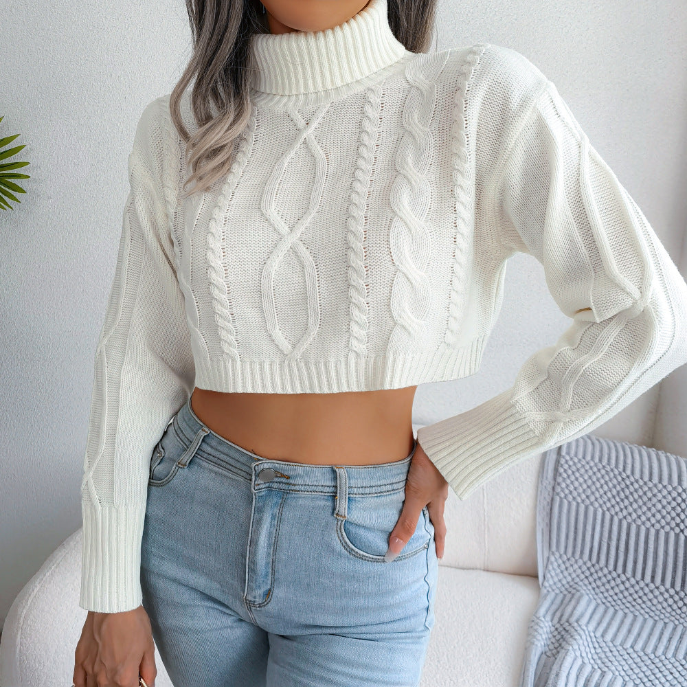 Mixed Knit Turtleneck Cropped Sweater - White / S Wynter 4 All Seasons